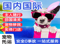 太平国际宠物托运 【国
